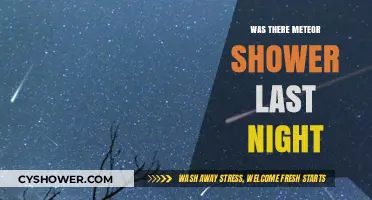Did You Spot the Meteor Shower Last Night? Here's What Happened