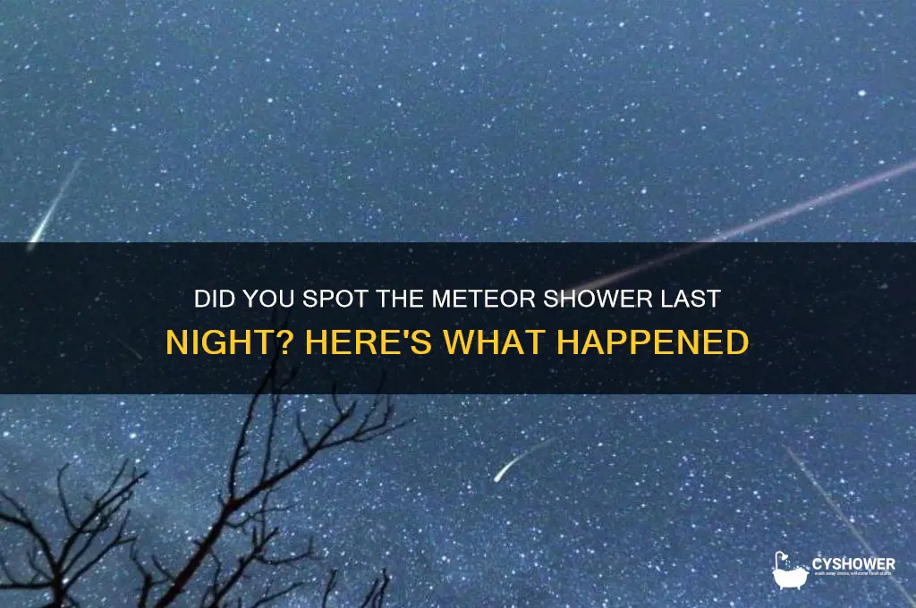 was there meteor shower last night