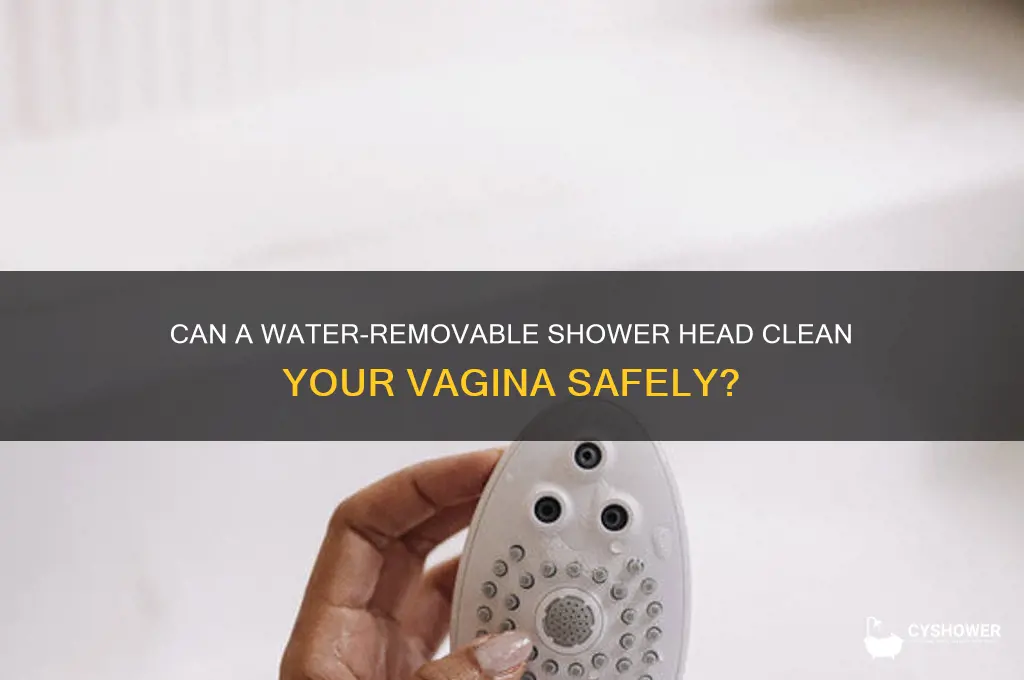 was vagina with water removalbal shower head