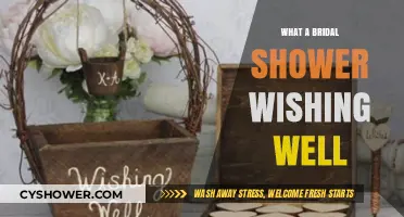 Bridal Shower Wishing Well: Creative Gift Ideas and Etiquette Tips