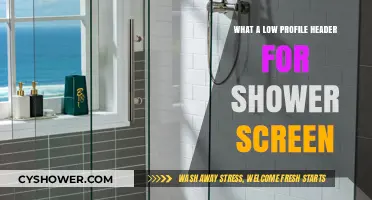 Understanding Low-Profile Headers for Sleek Shower Screen Installations