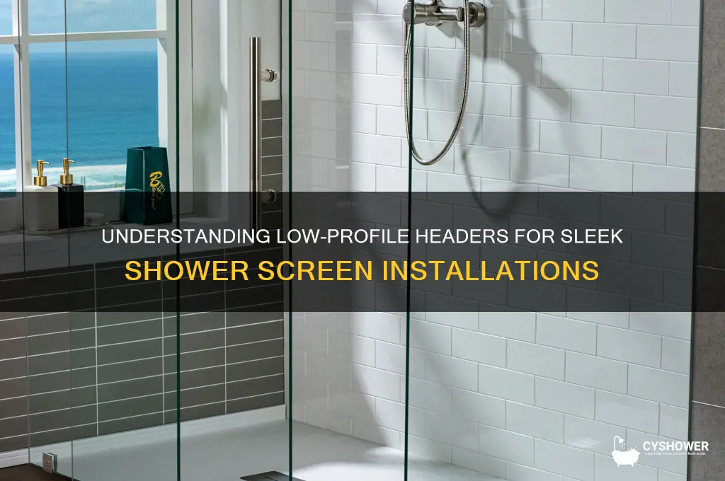what a low profile header for shower screen