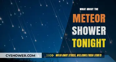 Don't Miss Tonight's Meteor Shower: A Celestial Spectacle to Watch