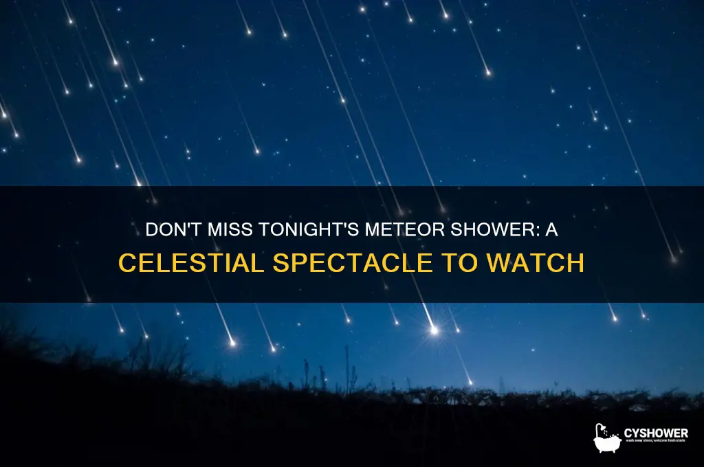 what about the meteor shower tonight