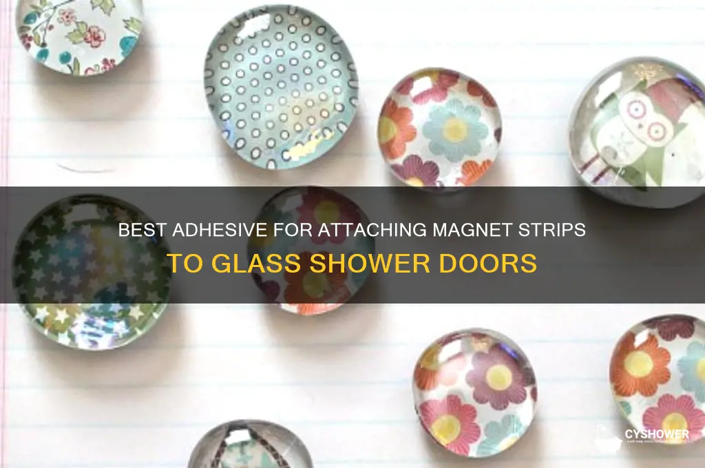 what adhesive to attach magnet strip to glass shower doors