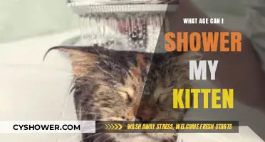 When Can Kittens Have Their First Shower: A Guide
