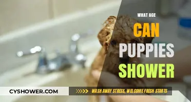 When Can Puppies Have Their First Shower? A Guide