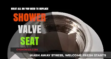Essential Tools and Steps for Replacing a Shower Valve Seat