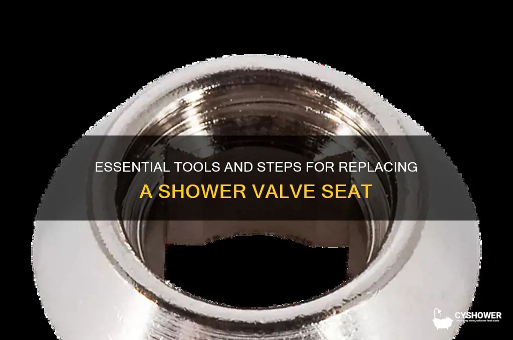 what all do you need to replace shower valve seat