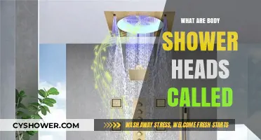 Understanding Body Shower Heads: Names, Types, and Their Unique Features