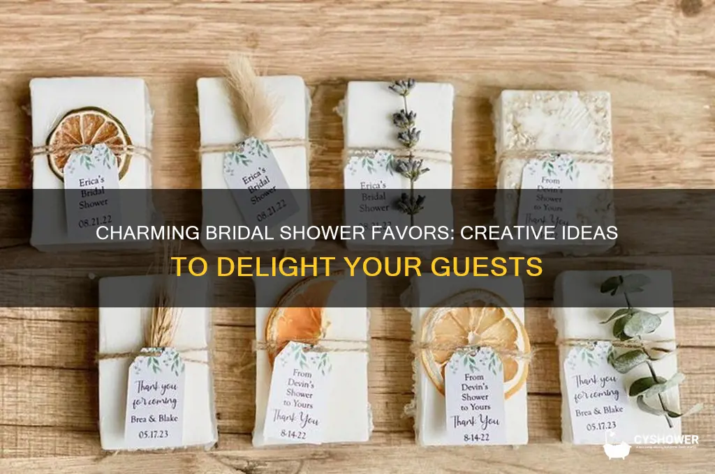 what are bridal shower favors