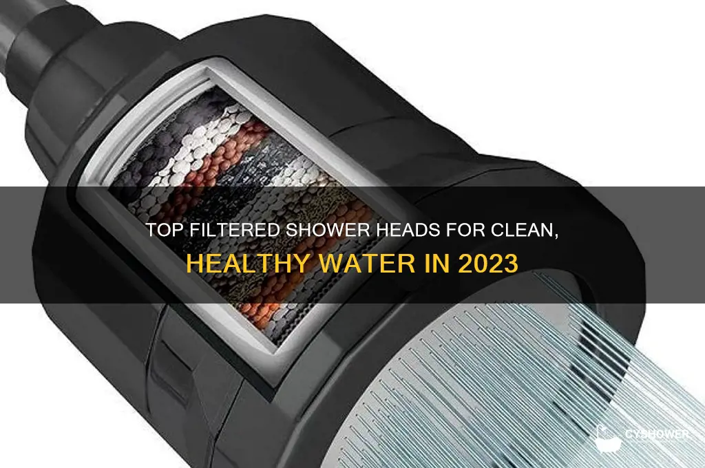 what are currently the best filtered shower heads