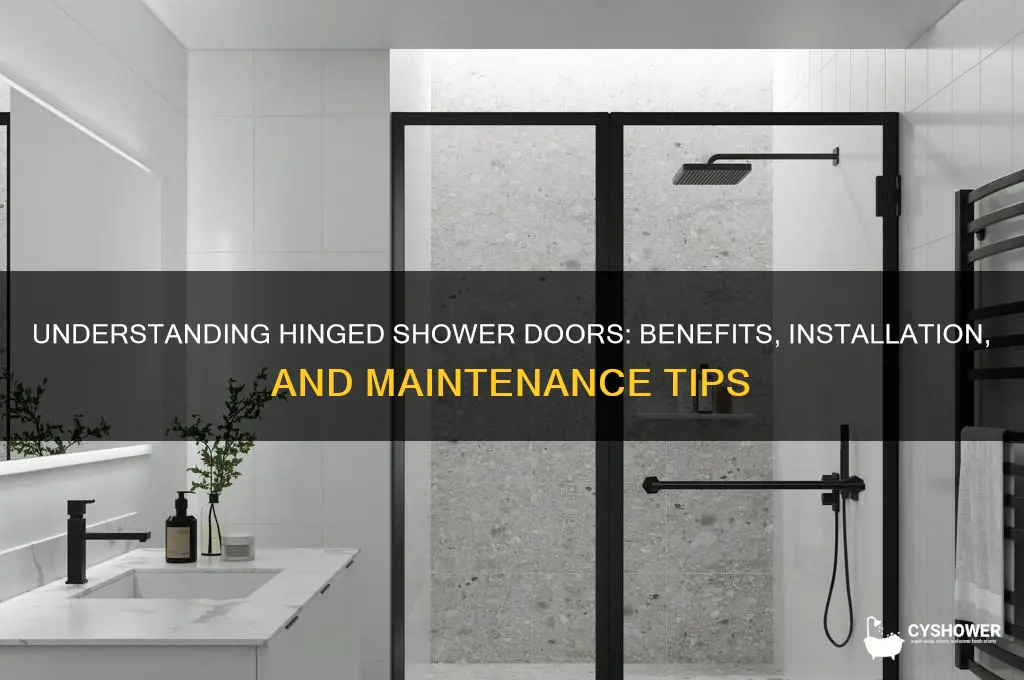 what are hindged shower doors