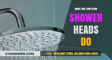 Low Flow Shower Heads: Eco-Friendly Water-Saving Benefits Explained