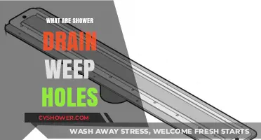 Understanding Shower Drain Weep Holes: Purpose, Maintenance, and Importance