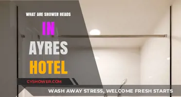 Exploring Ayres Hotel's Shower Heads: Features, Design, and Guest Experience