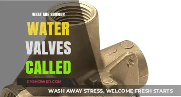 Understanding Shower Water Valves: Names, Functions, and Types Explained