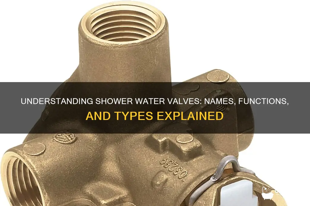 what are shower water valves called