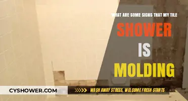 Spotting Mold in Your Tile Shower: Key Warning Signs to Watch