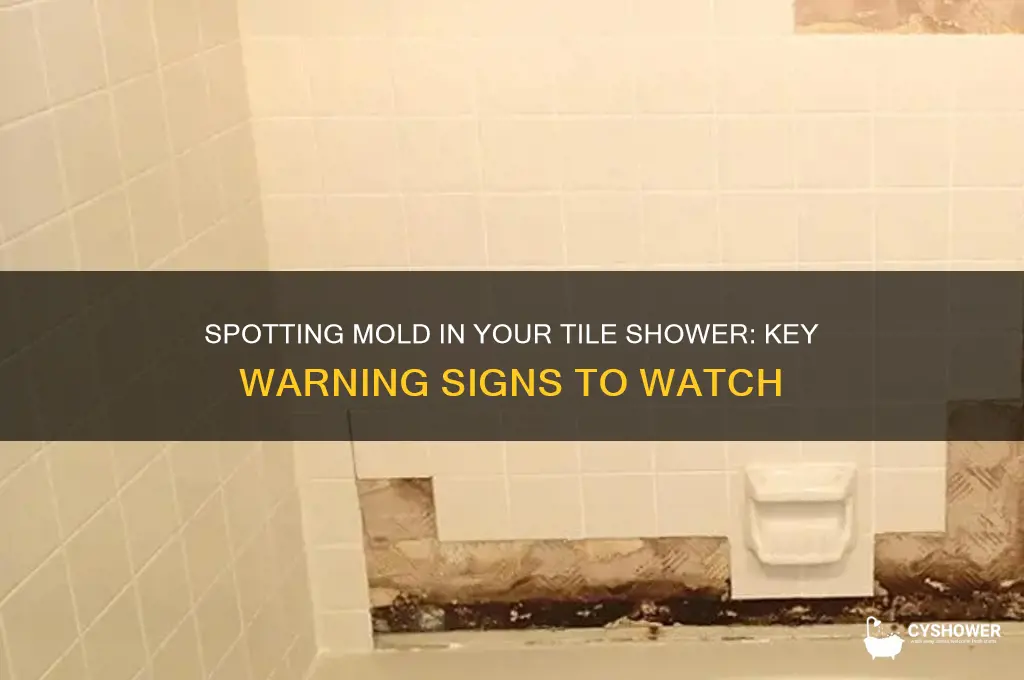 what are some signs that my tile shower is molding