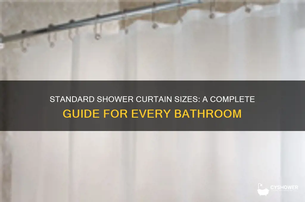 what are standard shower curtain sizes