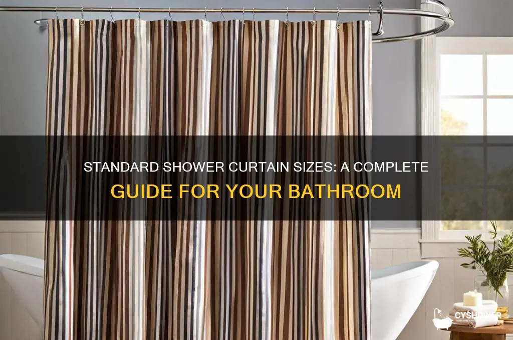 what are standard sizes for shower curtains