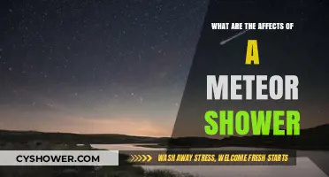 Meteor Shower Impacts: Unveiling Celestial Wonders and Earthly Consequences