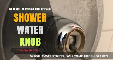 Average Shower Water Knob Repair Costs: What to Expect