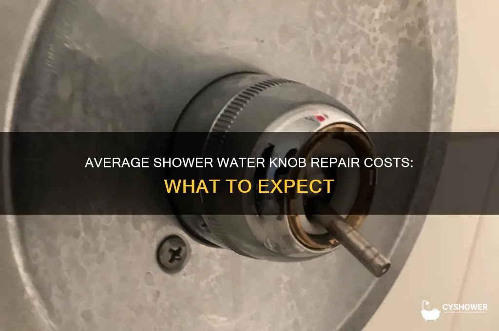 what are the average cost of fixing shower water knob