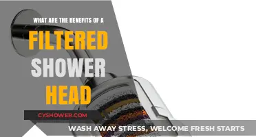 Filtered Shower Heads: Enhance Skin, Hair, and Water Quality Instantly