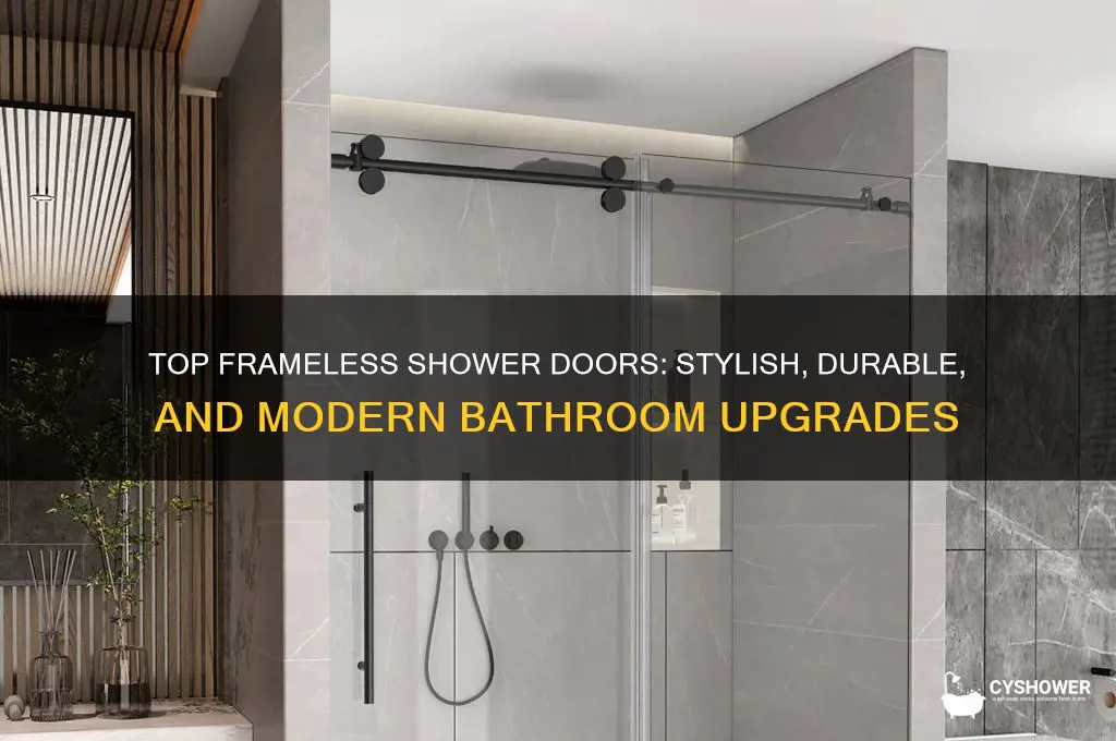 what are the best frameless shower doors