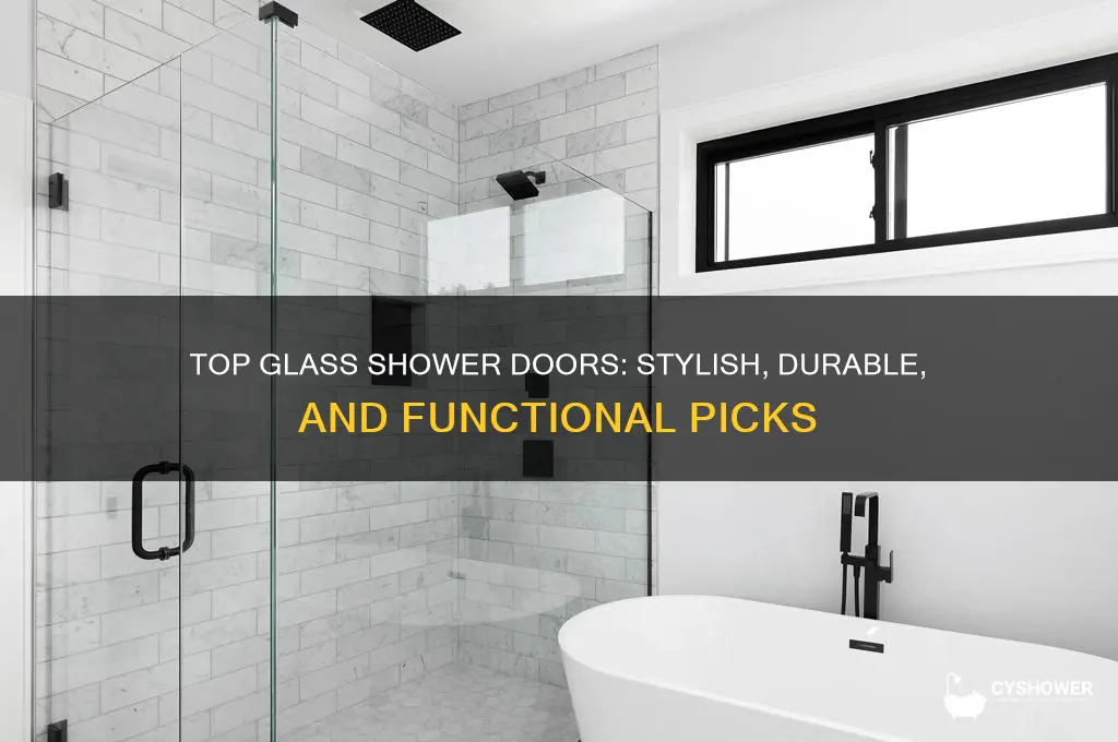 what are the best glass shower doors