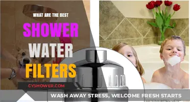 Top Shower Water Filters for Clean, Healthy Skin and Hair