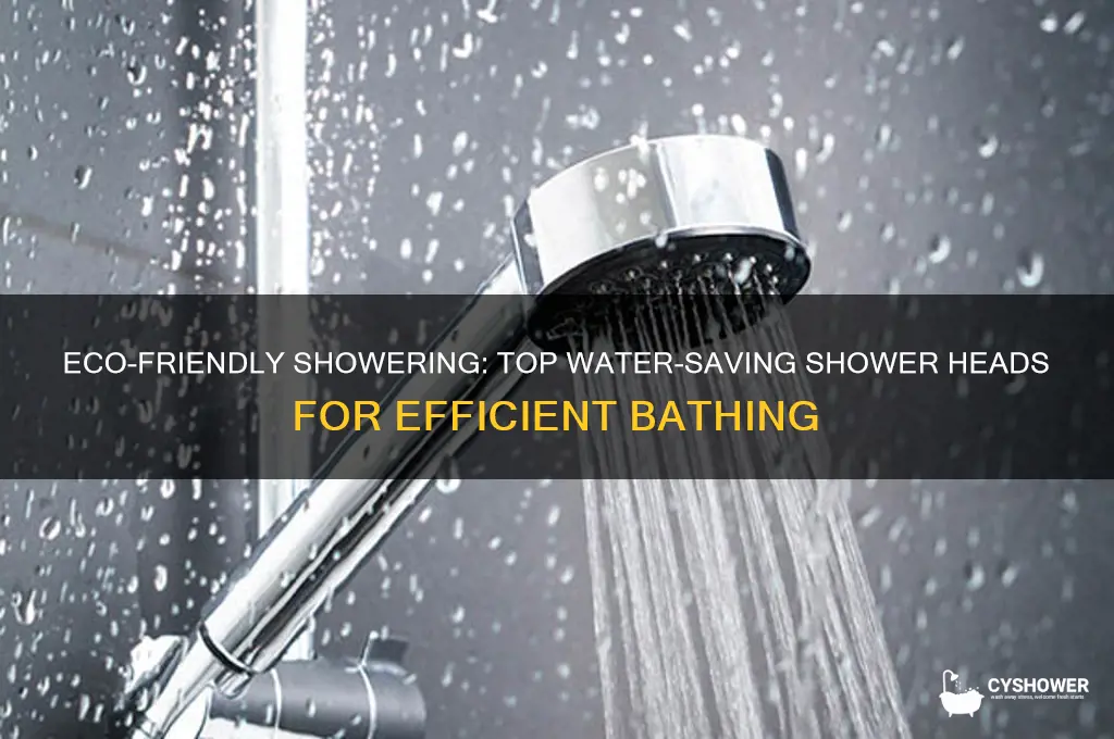 what are the best water saving shower heads