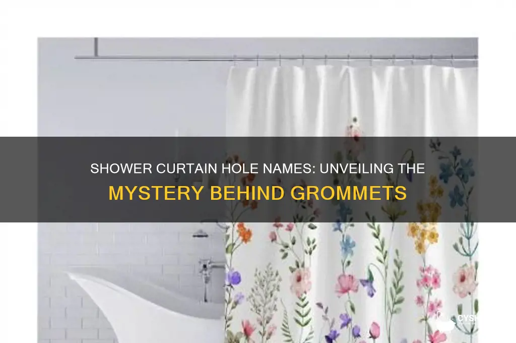 what are the called holes shower curtains go through