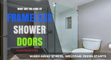 Frameless Shower Doors: Hidden Drawbacks and Maintenance Challenges