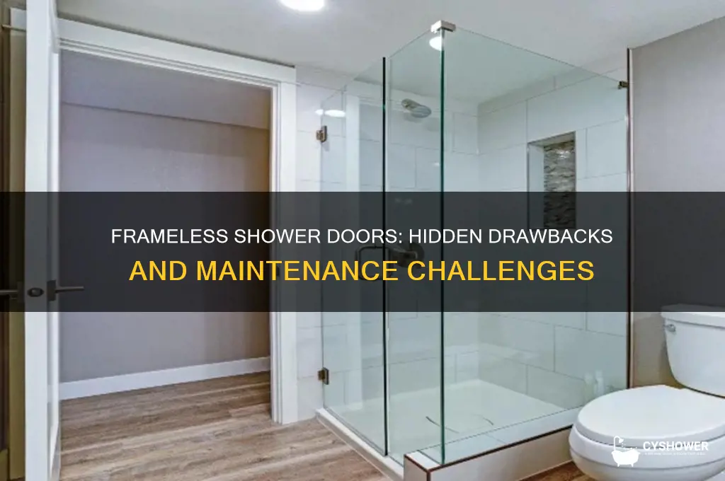 what are the cons of frameless shower doors