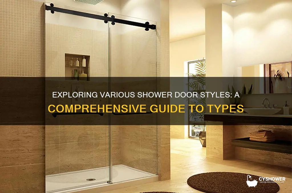 what are the different types of shower doors