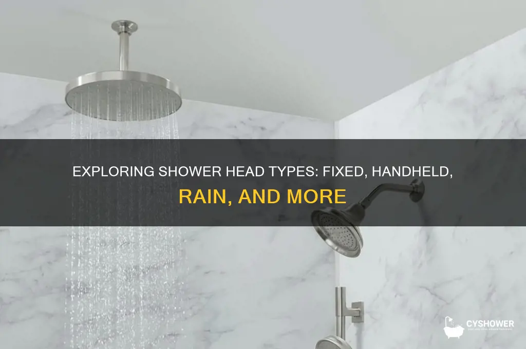 what are the different types of shower heads