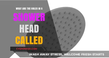 What Are the Holes in a Shower Head Called?