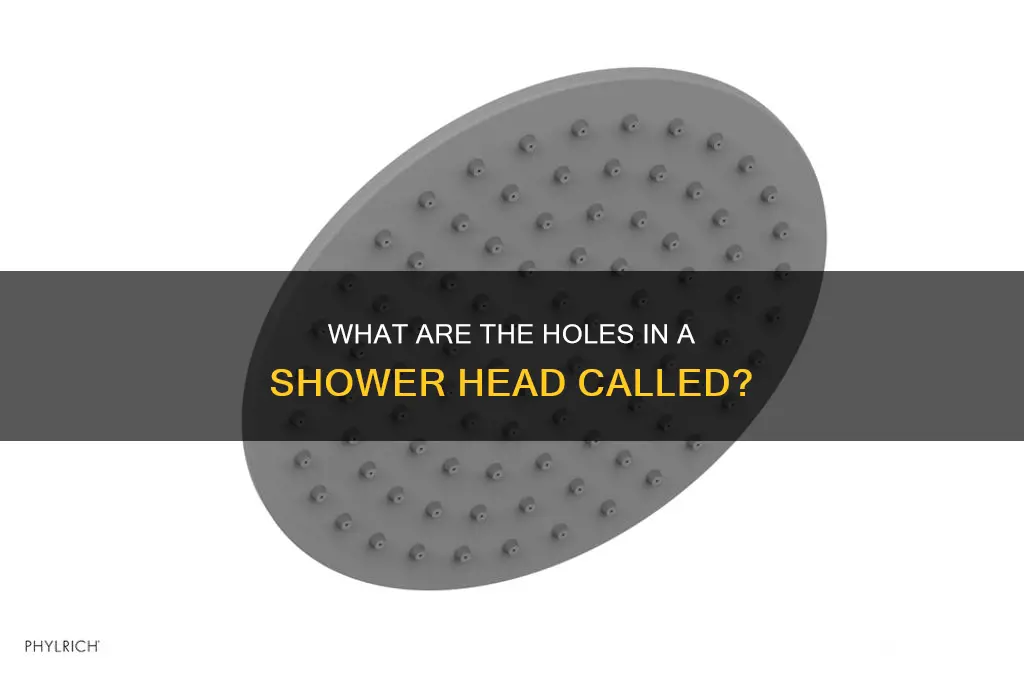 what are the holes in a shower head called