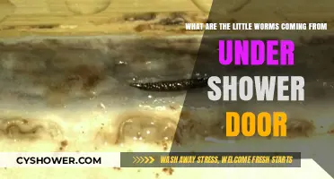 Tiny Worms Under Shower Door: Causes, Concerns, and Solutions