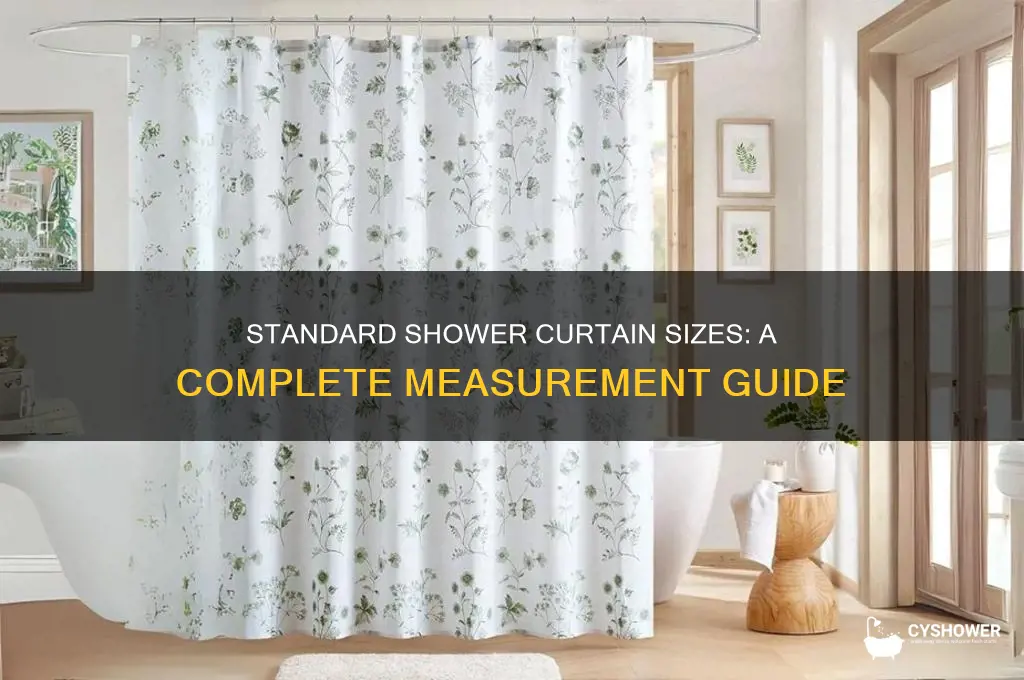 what are the measurements of a shower curtain