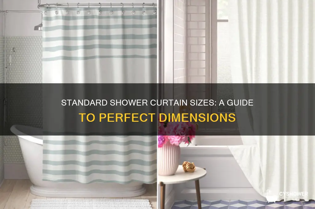 what are the normal dimensions of a shower curtain