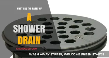 Understanding Your Shower Drain: Key Components and Their Functions