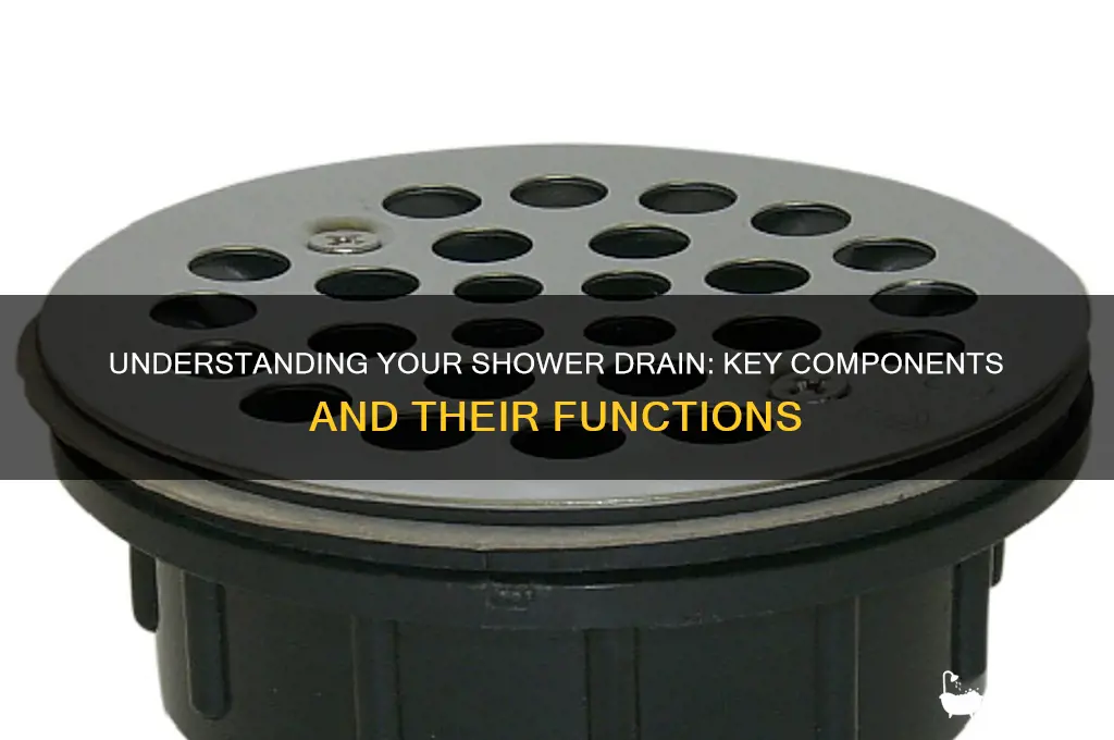 what are the parts of a shower drain