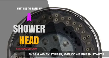 Understanding Your Shower Head: Key Components and Their Functions