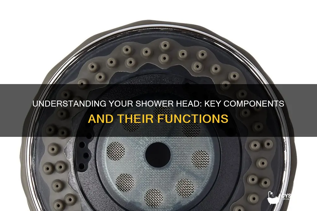 what are the parts of a shower head