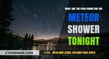 Best Time to Watch Tonight's Meteor Shower: Peak Hours Guide