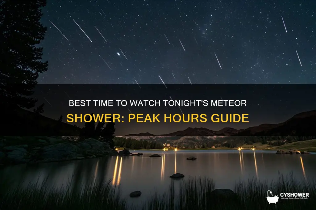 what are the peak hours for the meteor shower tonight